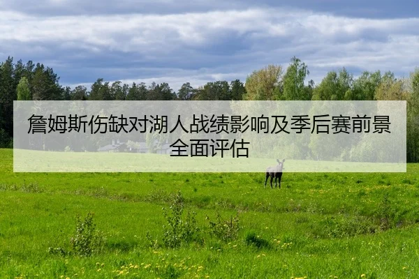 詹姆斯伤缺对湖人战绩影响及季后赛前景全面评估